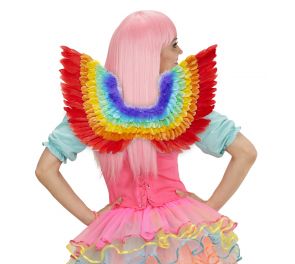 Rainbow Feather Wings