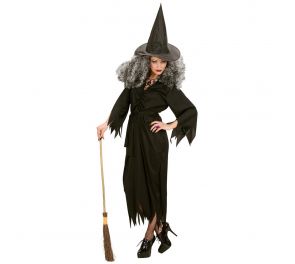  Sabrina the witch dress and pointy hat