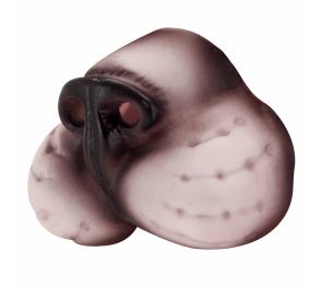 Kuminen kissan kuono