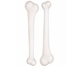 Bones, 2 pc