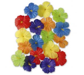 Hibiscus-irtokukat, 18 kpl