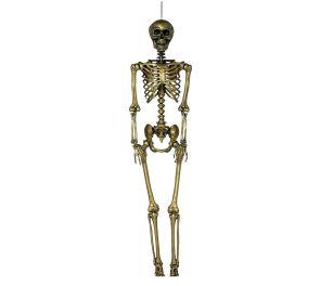 Luuranko 160 cm, Kultainen