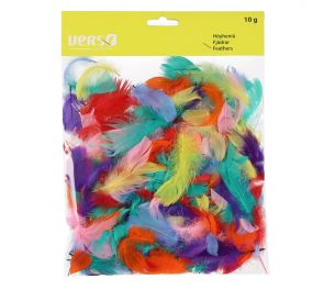 Small colorful feathers