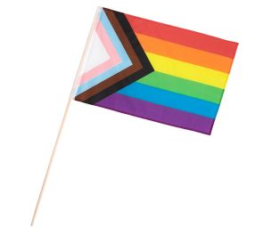 Pride progress, LGBTQ+ lippu kepissä