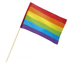 Rainbow flag with a rod