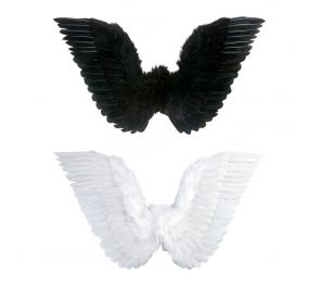 Feather Wings