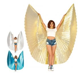 360 Degree Fantasy Wings