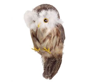 Pöllö