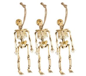 Hanged skeletons, 3 pc