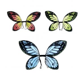 Butterfly wings