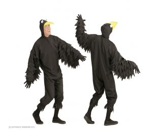 Raven jumpsuit costume with wings