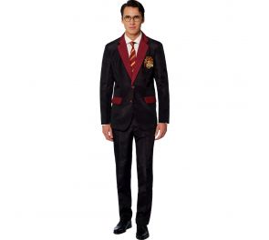 Harry Potter costume for adults