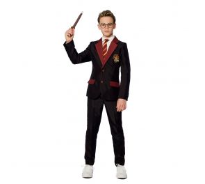 Harry Potter costume for kids